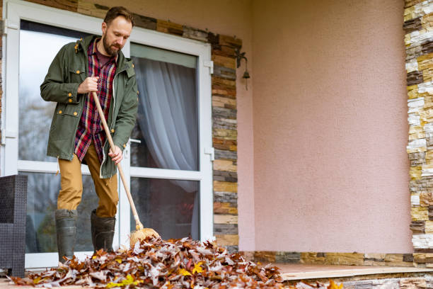 Best Yard Cleanup Services  in Alamo, TN