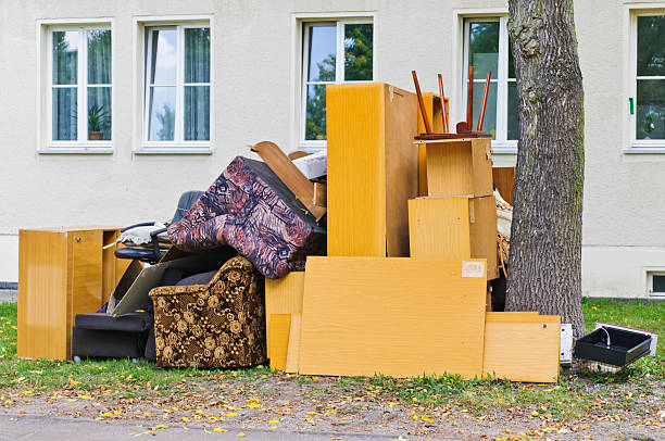 Best Office Junk Removal  in Alamo, TN